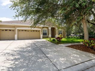 10738 Moss Island Dr, Riverview, FL 33569
