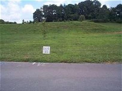 2nd image of 127 Tree Frog Ln