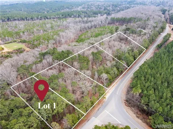 LOT 1 Sexton Bend Rd, Tuscaloosa, AL 35406