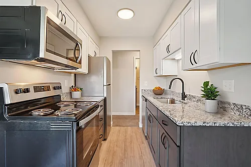 Lydia Rose Apartments Photo 1