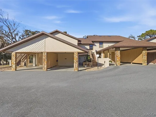 115 E Hartford St, Hernando, FL 34442