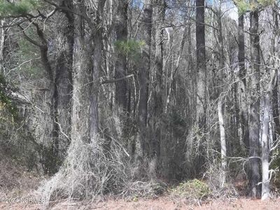 Lot 2 Griffin Swamp Road, Elizabeth City, NC, 27909