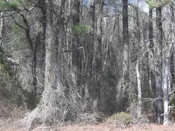 Lot 2 Griffin Swamp Road, Elizabeth City, NC 27909
