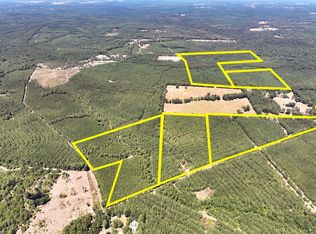 County Road 366 & Joskey Dykes Rd, Zavalla, TX 75980