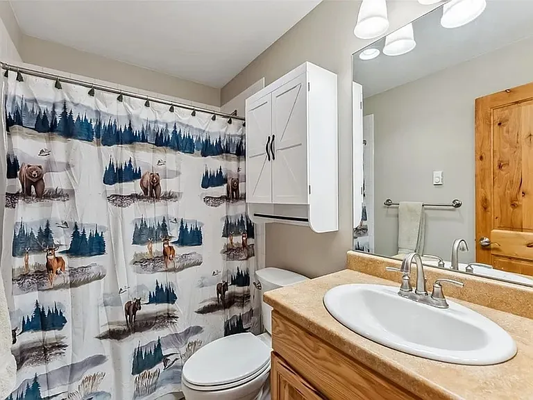6726 Ryan Gulch Rd — Photo 19