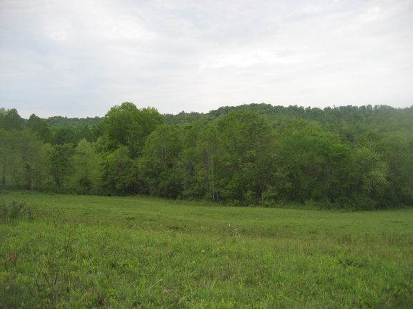 2 Buckler Ln, Olive Hill, KY 41164