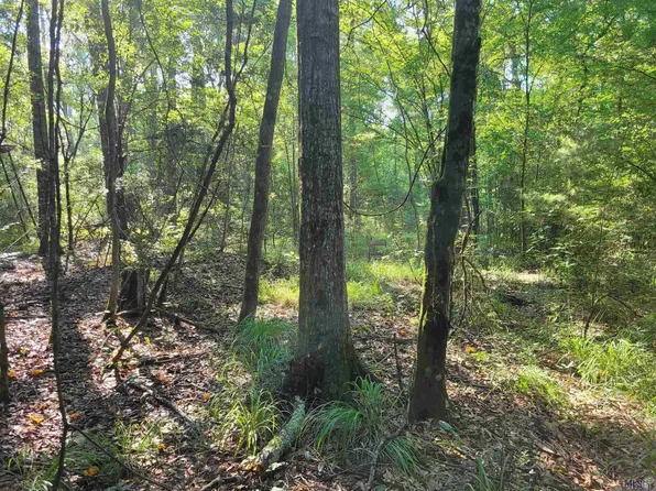 26799-26355 Greenwell Springs Rd, Greenwell Springs, LA 70739