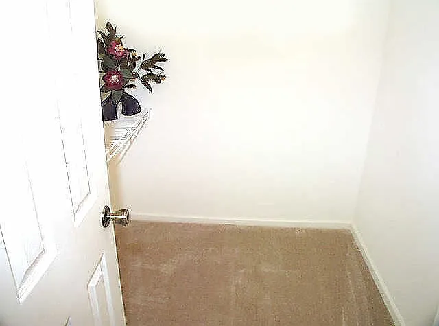 Landings — Photo 21