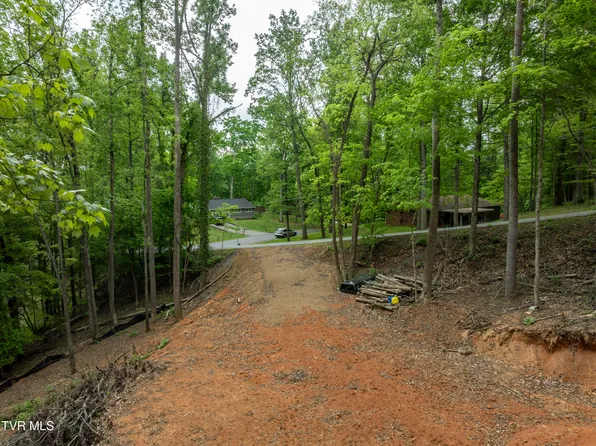 LOT 6 Briarwood Rd, Kingsport, TN 37664