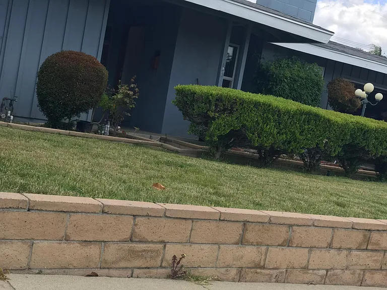 21313 Fountain Springs Rd — Photo 38