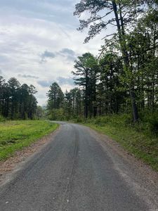 Clinton Lynch Rd Lot 1, Bee Branch, AR, 72013