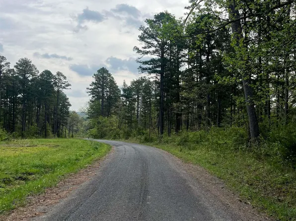 (undisclosed Address), Clinton, AR 72031