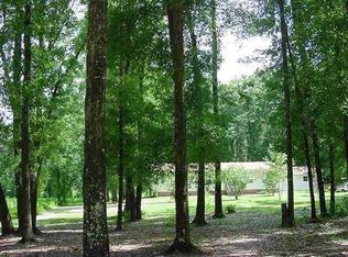 17170 NE 42nd Pl, Williston, FL 32696