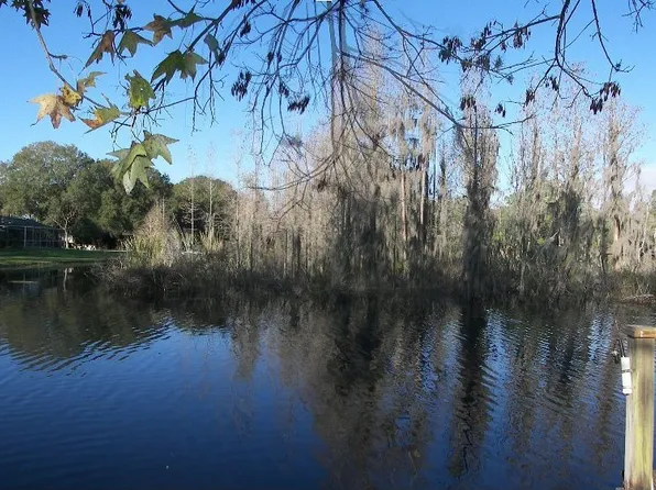 17002 Paula Ln, Lutz, FL 33558