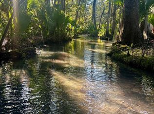 51 SW 720th St, Steinhatchee, FL 32359
