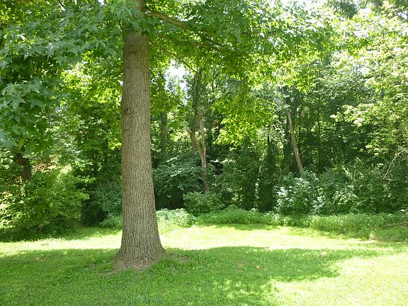 Wooded, private lot to rear