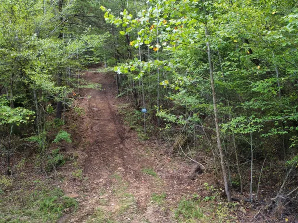 0 Darbytown Rd, Hohenwald, TN 38462