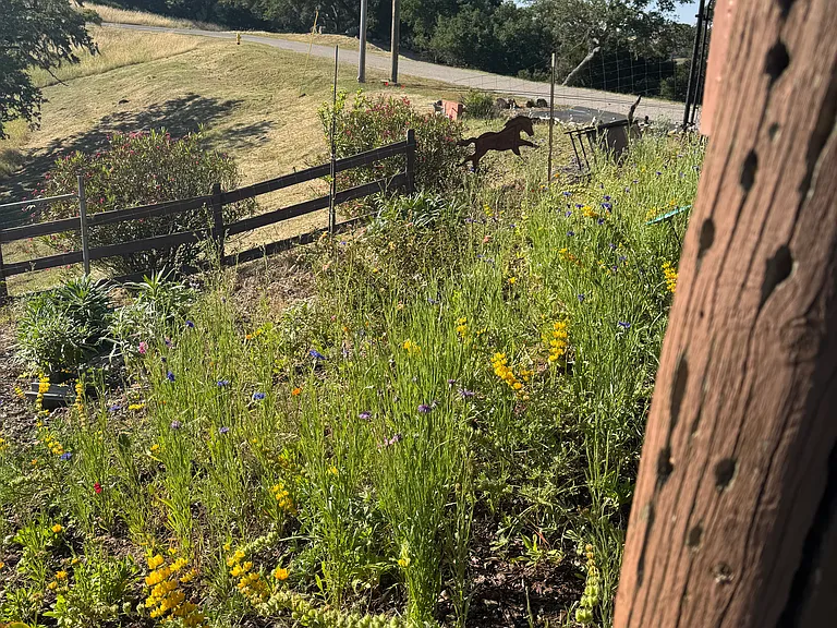 additional garden that can be used to grow a vegetable garden or flowers