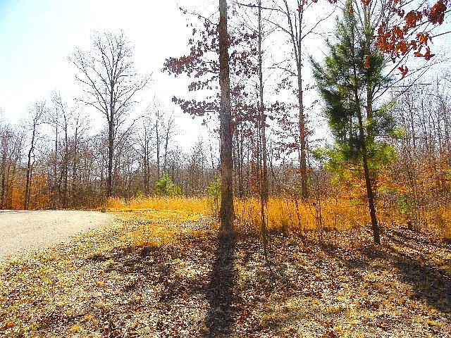 1st image of 9788 Smithville Hwy