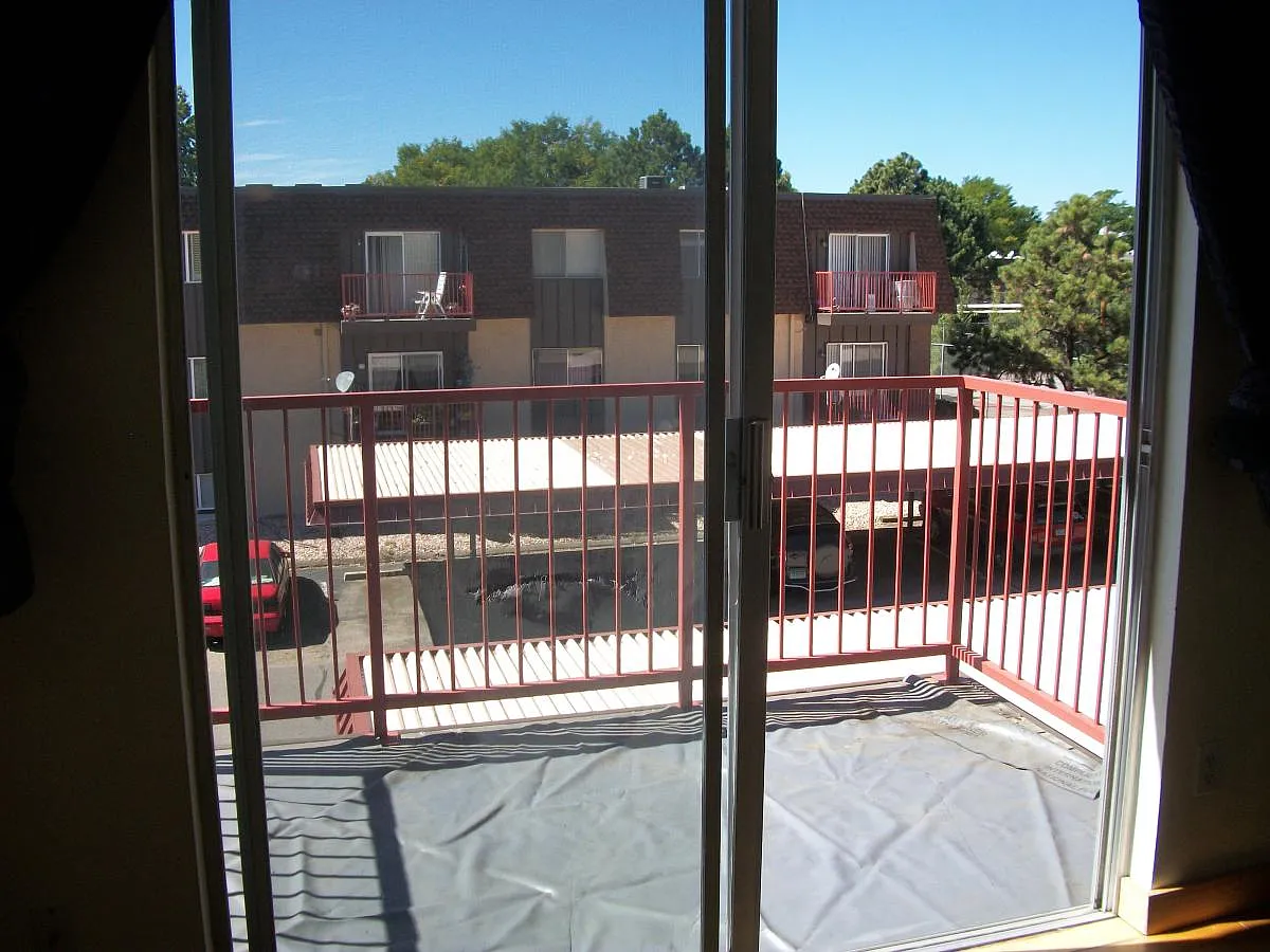 1 bed, 800 sqft, $1,550 — Photo 2