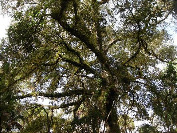 Home For Sale In ACREAGE