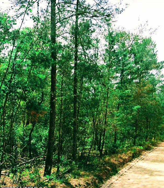 1st image of 137 LAKE MARGARET Boulevard
