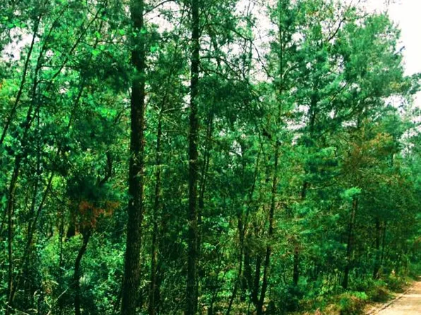 137 LAKE MARGARET Boulevard, Pomona Park, FL 32181