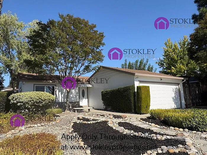 2 bed, 1.0 bath, 905 sqft, $3,095 — Photo 2