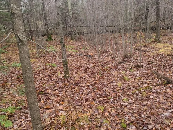 0 Lloyd Creek Rd, Gleason, WI 54435