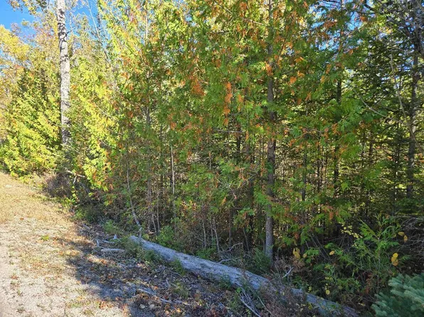 Cedar Terrace Dr, Presque Isle, MI 49777