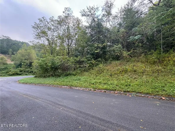 Pheasant Ct, Sevierville, TN 37876