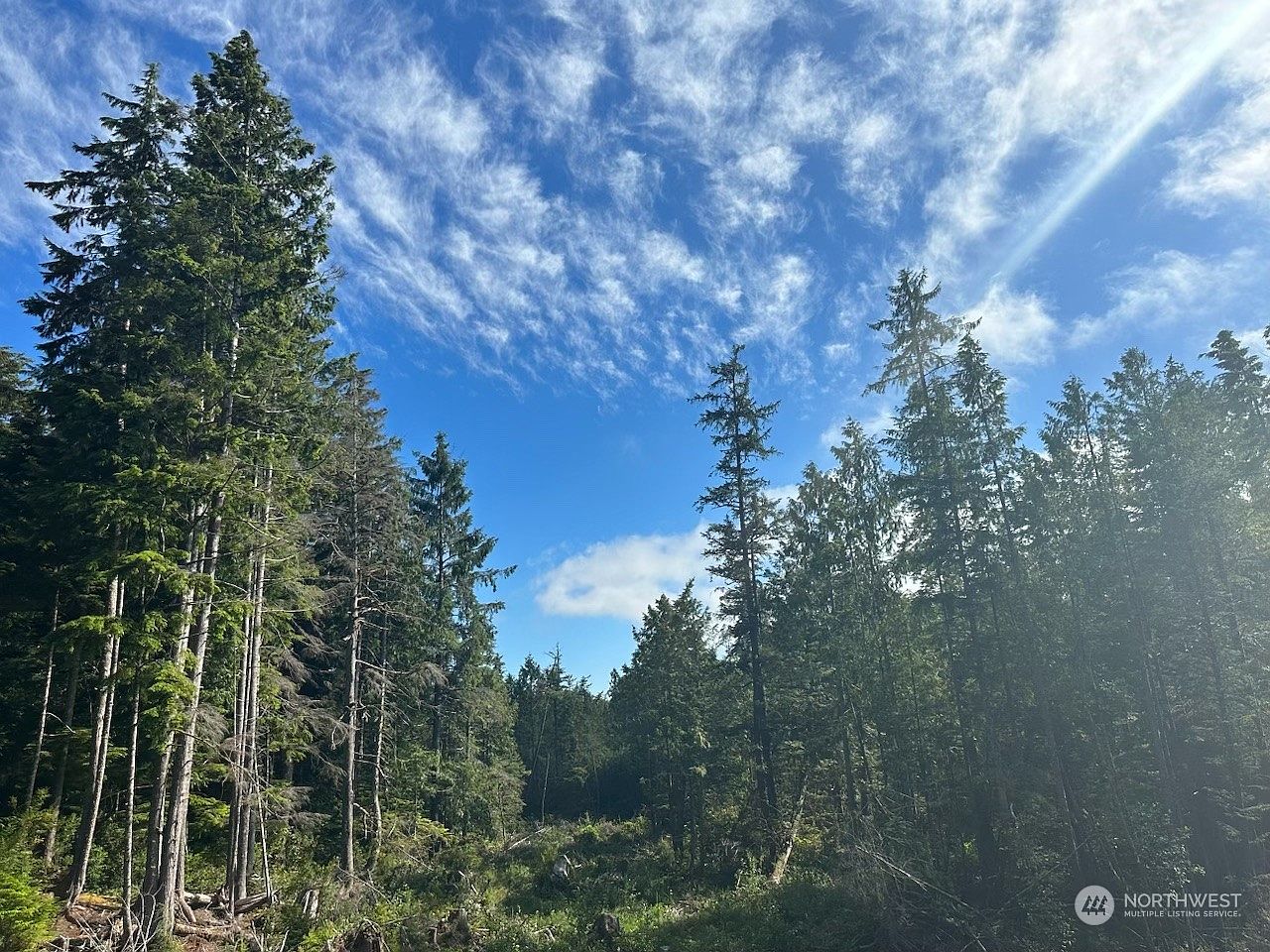 646 Chinook Valley Rd, Naselle, WA 98638 MLS 2140824 Zillow