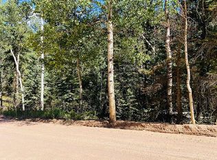 104 Pinewood Rd, Florissant, CO 80816