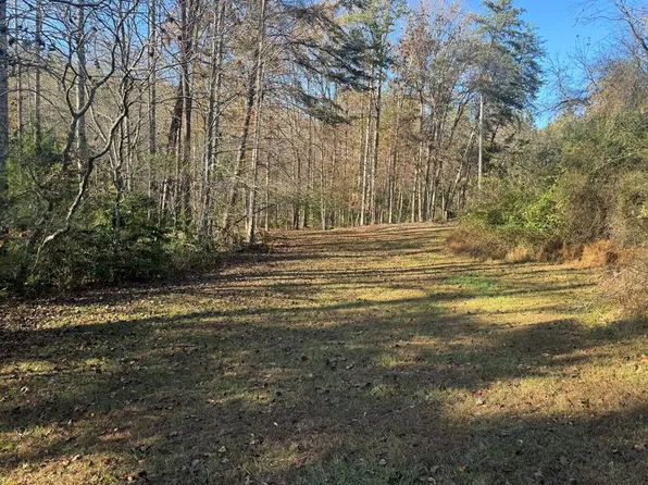 0 Mount Carmel Rd, Morganton, GA 30560