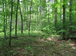 2203 Evergreen Ln, Alanson, MI 49706