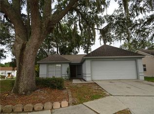4602 Lighterwood Way, Valrico, FL 33596