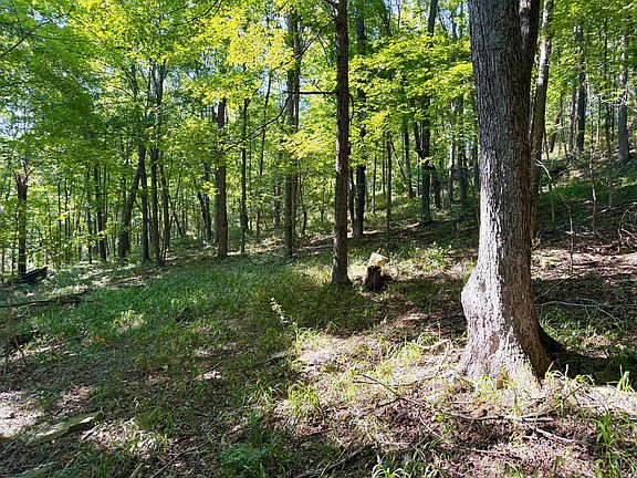 5th image of 514 Dog Hollow Rd