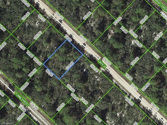 5th image of 3232 N Dahlia Dr