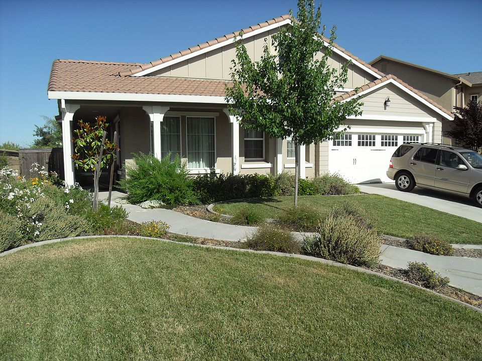 Front Yard
