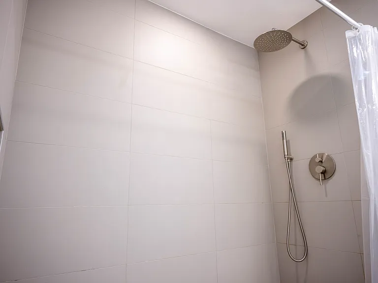 Primary Shower