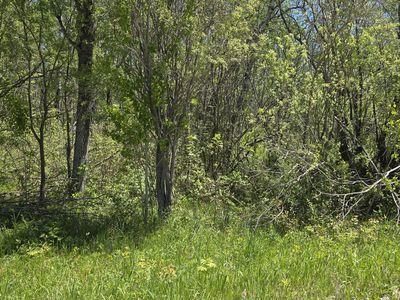 L-1 Mill St #12, Levering, MI, 49755
