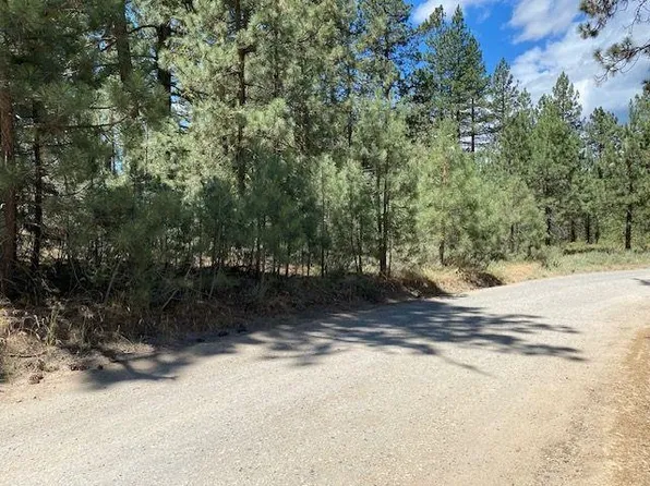 200 Idle Hour Dr, Portola, CA 96122