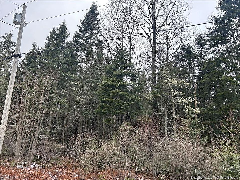 1st image of 4 Backland Rd Lot 26