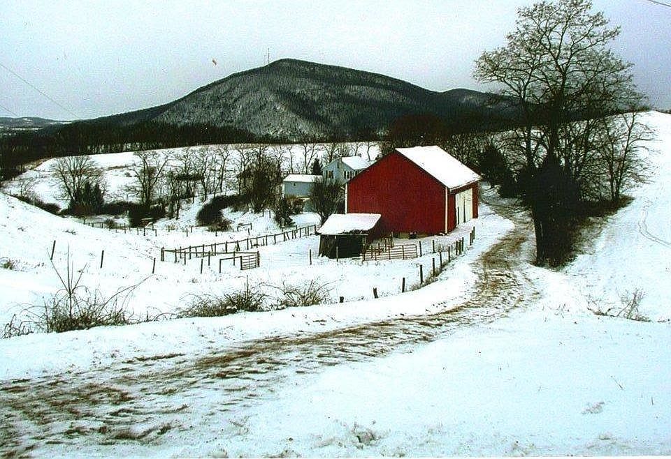 Our ~80 acre farm