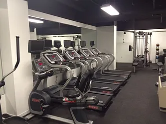 Rented by Alpha Properties NYC I LLC