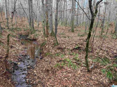 County Road 831 Tract #3, Wadley, AL, 36276