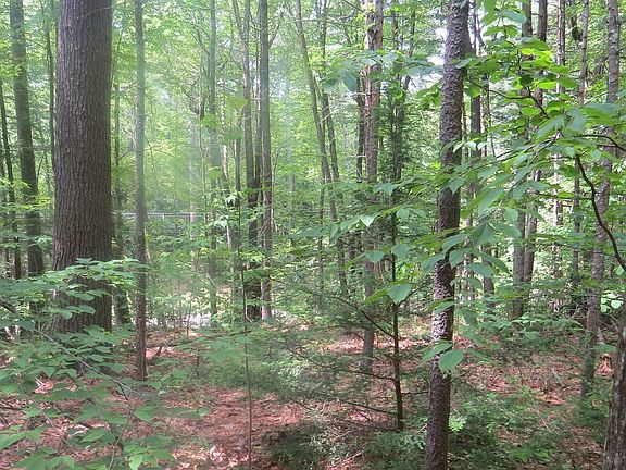 5th image of LOT 1 Pratt Corner Rd