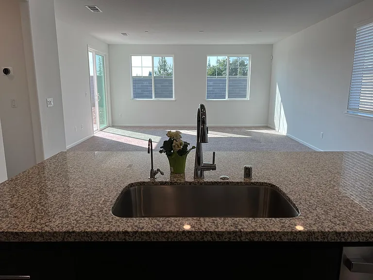 943 Carson River Dr — Photo 4