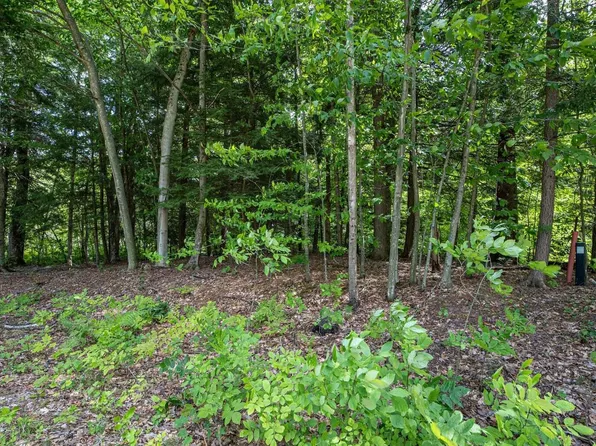 34 Forest Lake Dr, Big Rapids, MI 49307