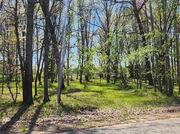 6923 Abbey Ln, Stanwood, MI 49346